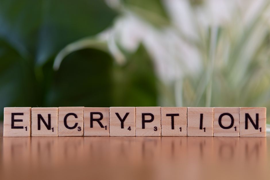 How Small Non-Profits Protect Donor Data (Budget Guide)